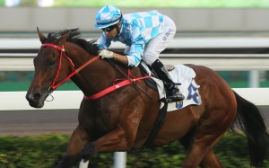 Joao Moreira guides Conte to win in January. Photos: Kenneth Chan