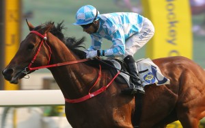 Joao Moreira guides Conte to his fifth straight victory. Photos: Kenneth Chan