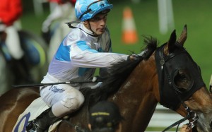 Goldie Flanker is yet to win a race this season. Photo: Kenneth Chan