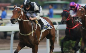 Exultant wins in Class Two on December 23. Photos: Kenneth Chan.