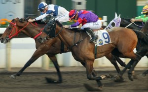 Fight Hero (middle) overhauls House Of Fun on the line (yes, really) to win on the all-weather track in December. Photo: Kenneth Chan