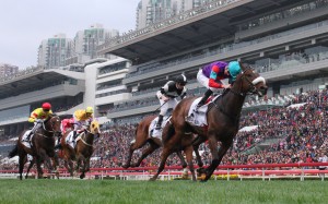 Singapore Sling, ridden by Chad Schofield, wins the Hong Kong Classic Cup at Sha Tin in February. Photos: Kenneth Chan