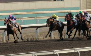 Perpetual Treasure (left) bolts clear of his rivals on the all-weather track at Sha Tin on Sunday. Photos: Kenneth Chan