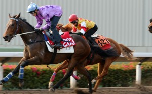Sumstreetsumwhere trials at Sha Tin. Photo: Kenneth Chan
