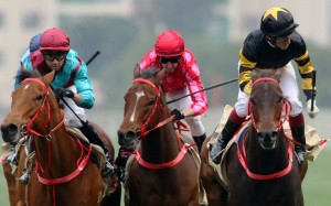 Beat The Clock (left) and Mr Stunning (middle), dead-heat for second behind stablemate D B Pin in the Group One Centenary Sprint Cup. Photos: Kenneth Chan