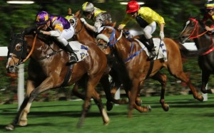 Litterateur wins at Happy Valley in March. Photos: Kenneth Chan