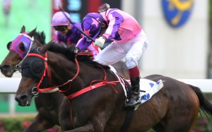 Olivier Doleuze lifts Prawn Baba to victory at Sha Tin on Sunday. Photos: Kenneth Chan