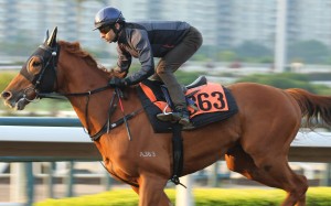 Joao Moreira gallops Amazing Satchmo. Photos: Kenneth Chan