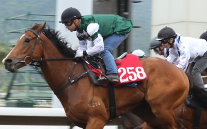 Emerald Spur trials at Sha Tin in March. Photo: Kenneth Chan