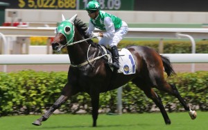 Joao Moreira convinces Pakistan Star to finish the Group Three Premier Plate at Sha Tin in June last year. Photos: SCMP.