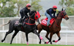 Villa Fionn (right) works with Happilababy in March. Photo: Kenneth Chan