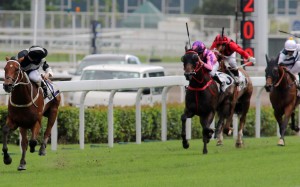 Where did they go? Zac Purton takes a peek over his shoulder as Exultant spanks his rivals to win by six lengths in the Queen Mother Memorial Cup at Sha Tin. Photos: Kenneth Chan