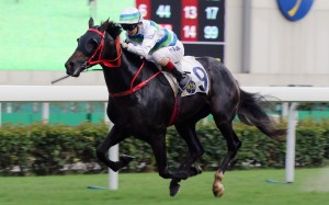 Peter Ho drives Voyage King to victory at Sha Tin on Saturday. Photo: Kenneth Chan