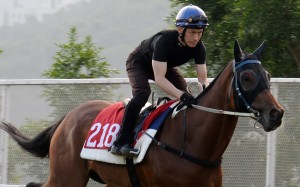 Sky Melody gallops on the Sha Tin turf on May 14. Photo: Kenneth Chan