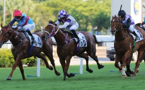 Attention (right) finishes third to Star Shine (left) at Sha Tin on Sunday. Photos: Kenneth Chan