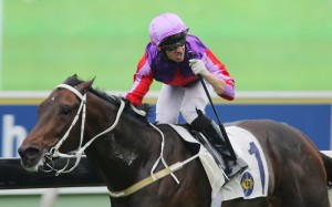 Neil Callan celebrates as Doyeni wins at Sha Tin in November 2015. Photos: Kenneth Chan
