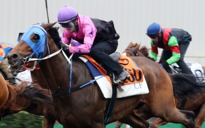 Smart Baby trials at Sha Tin in April. Photo: Kenneth Chan