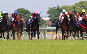 Western Express (left in purple colours) tries to keep up with Mozu Ascot (right) in the Yasuda Kinen. Photo: Kenneth Chan