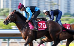 Derek Leung gallops Cordyceps at Sha Tin. Photo: Kenneth Chan