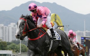 Zac Purton wins aboard Hot King Prawn. Photos: Kenneth Chan