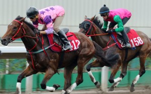 Mr So and So (left) is ridden by Joao Moreira during a trial at Sha Tin in July. Photos: Kenneth Chan.