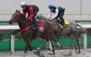 Zac Purton guides Country Star (left) to victory in a recent trial at Sha Tin. Photos: Kenneth Chan