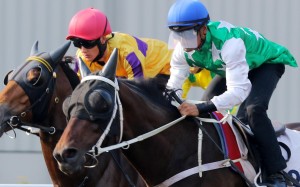 Pakistan Star easily wins a trial over 1,200m on the all-weather track under a hold from jockey Karis Teetan. Photos: Kenneth Chan