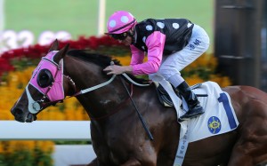 Zac Purton and Beauty Generation take out the Sha Tin Trophy. Photos: Kenneth Chan