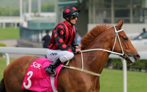 Jockey Zac Purton returns to the winners circle after winning on Time Warp in the Group Two Sa Sa Ladies’ Purse (1,800m). Photos: Kenneth Chan