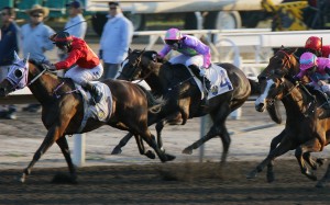 Zac Purton guides Hang’s Decision to victory at Sha Tin on Sunday. Photos: Kenneth Chan