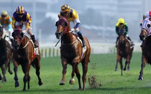 Douglas Whyte lifts Styling City to victory at Sha Tin on Sunday. Photos: Kenneth Chan