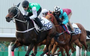 Pakistan Star sprints down the Sha Tin all-weather track to win a trial on Friday morning. Photos: Kenneth Chan