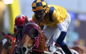 Douglas Whyte steers Styling City to an impressive win last month at Sha Tin. Photos: Kenneth Chan