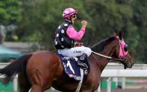 The dominant combination of Zac Purton and Beauty Generation take to the track again on Sunday. Photos: Kenneth Chan