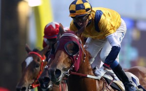 Douglas Whyte wins on Styling City in December at Sha Tin. Photos: Kenneth Chan