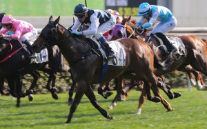 Douglas Whyte boots Sacred Ibis to victory for Paul O’Sullivan. Photos: Kenneth Chan