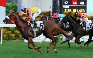 Superich salutes at Sha Tin in October. Photos: Kenneth Chan