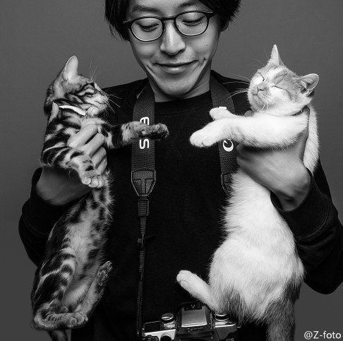 Social media + cats = a winning formula wherever you are in the world.