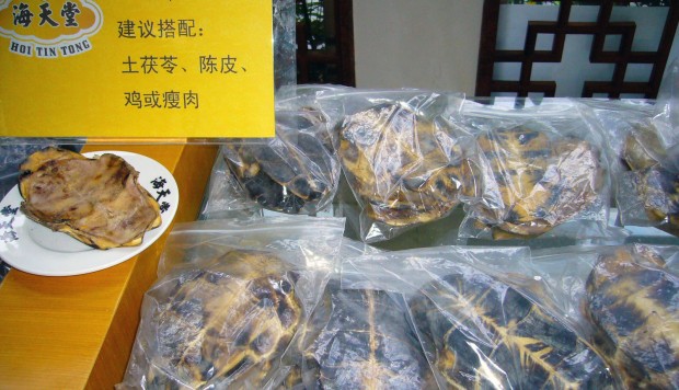 findings of hoi tin tong Ngày 26-27/03/2015, ban đại diện tin lành tỉnh bình thuận kết hợp với ủy ban thanh thiếu nhi của tổng liên hội. findings of hoi tin tong Ngày 26-27/03/2015, ban đại diện tin lành tỉnh bình thuận kết hợp với ủy ban thanh thiếu nhi của tổng liên hội.