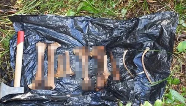 Chinese Brothers Accused Of Setting Up Booby Traps To Kill Protected 