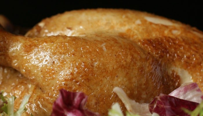 is chicken skin bad for dogs