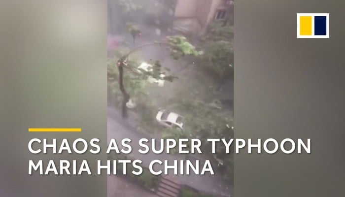 Trees bend in strong winds as Super Typhoon Maria hits southeast China ...