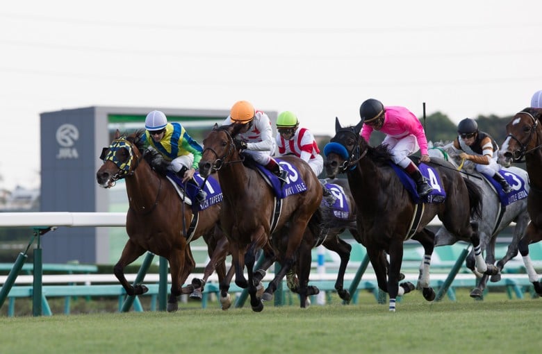 Rich Tapestry finishes along the rail in the Sprinters Stakes, eventually being swamped out wide. Photo: HKJC