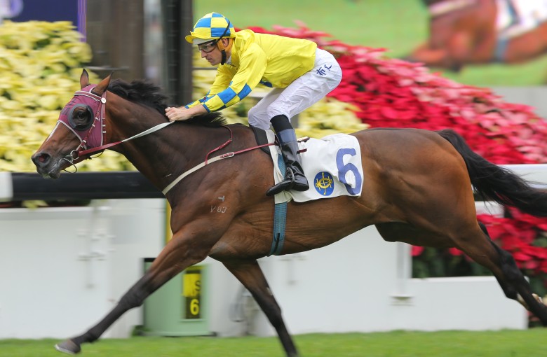 Werther could turn the tables on Sun Jewellery in the Hong Kong Classic Cup according to its trainer John Moore. Photos: Kenneth Chan