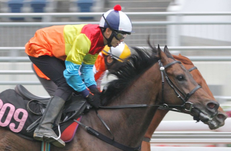 Travel Comforts gained a reputation as a speedy squib but his future looks to lie on the dirt. Photo: Kenneth Chan
