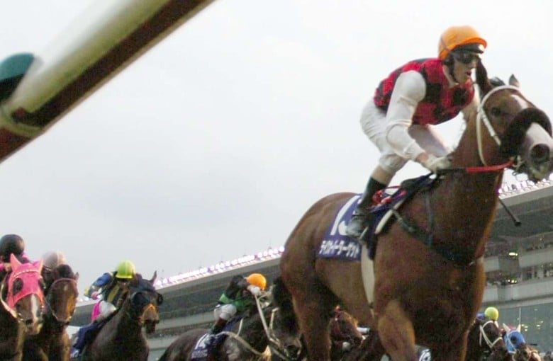 Moniker Mayhem The Twisted Tale Of Takeover Target The Tin Man And A Lost Decade Hk Racing South China Morning Post Sign up now to get free horse racing info mails. south china morning post