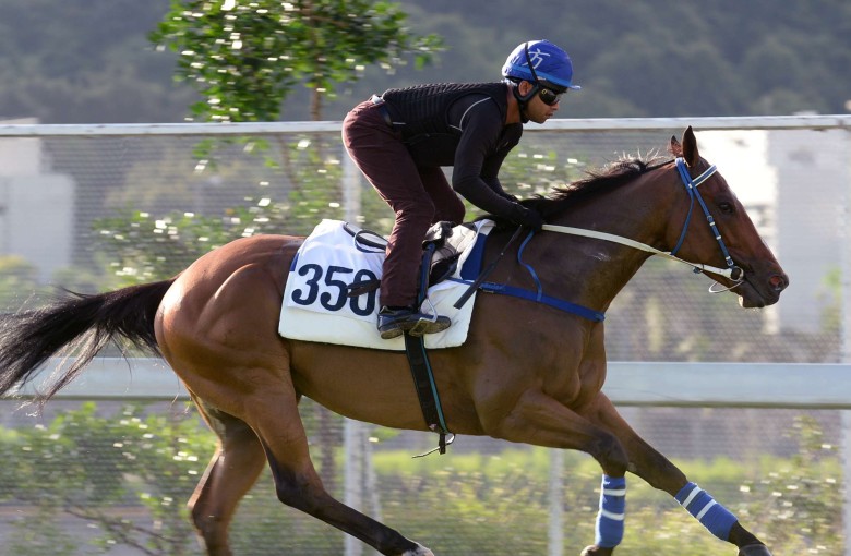 Amazing Race has shown versatility in his career in Britain.Photos: Kenneth Chan