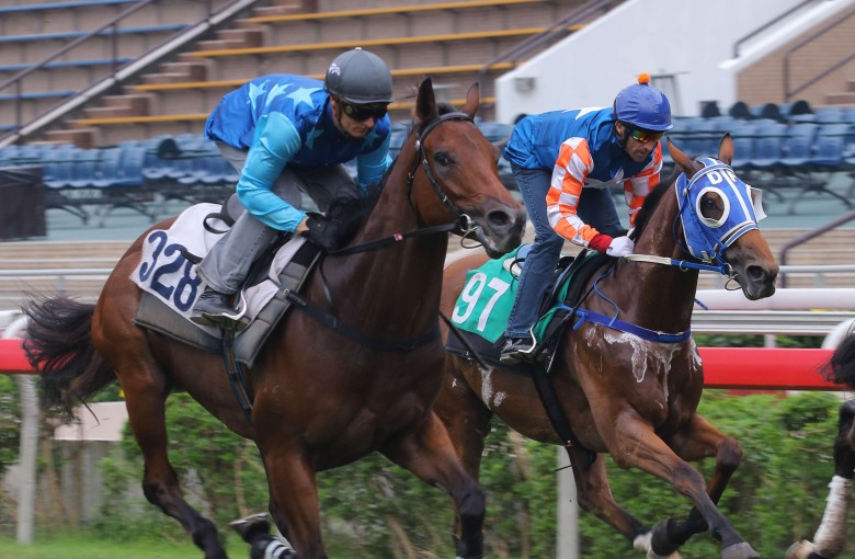 Pricy purchase Jing Jing Win (left), ridden by Zac Purton in a recent trial, makes his much-anticipated debut on Sunday. Photos: Kenneth Chan