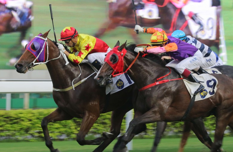 California Joy will be out to make it two wins on the trot after saluting earlier this month. Photos: Kenneth Chan