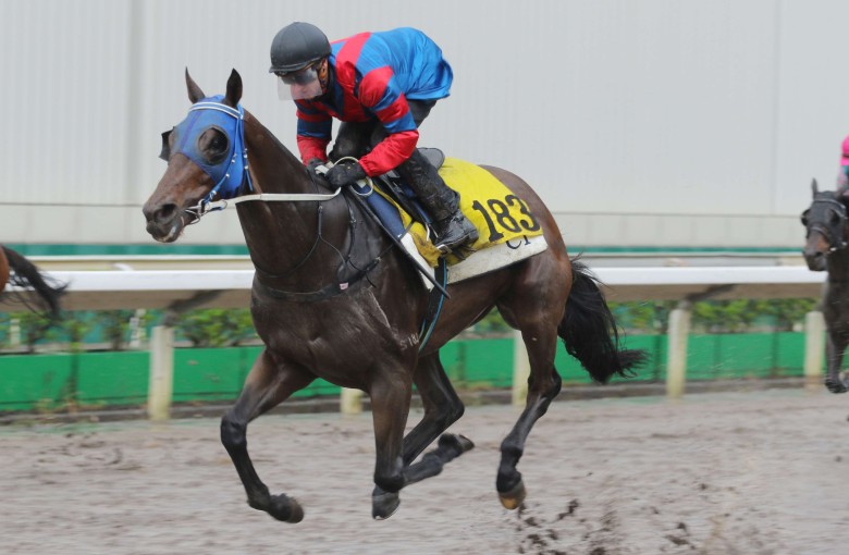 Zac Purton guides Gun Pit to victory in a barrier trial on Tuesday morning. Photos: Kenneth Chan